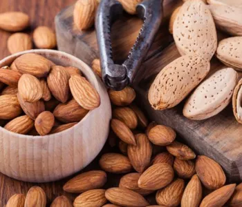 Hygienically processed almonds ideal for food industries, retail, and ingredient supply
