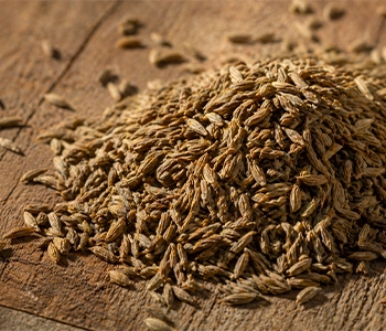 Cumin seeds dried in solar dryer to maintain aroma, quality and longer storage life