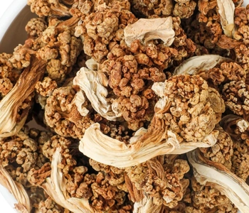 Naturally solar dried cauliflower processed for healthy food preservation and bulk supply