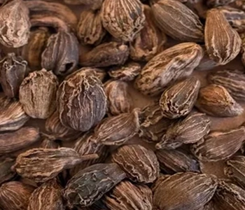 Solar dried large cardamom processed to retain aroma, quality, and market value for spice producers.
