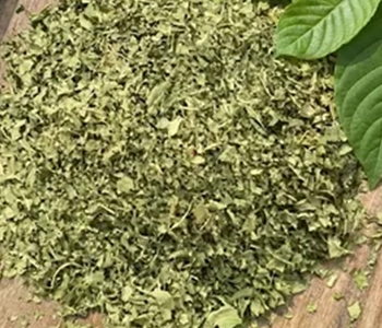 Solar dried herbal plants processed efficiently for medicinal, commercial, and value-added applications.