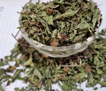 Fresh mint leaves solar dried for herbal products, tea blends, and food processing use