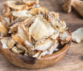High-quality mushrooms dried hygienically for ingredient suppliers and food manufacturers