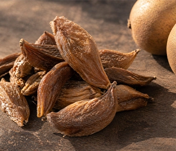 Sapota fruit slices dried in solar dryer for preservation and improved market value in Gujarat