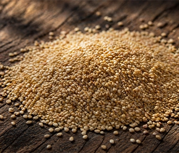 Sesame seeds dried in solar dryer to retain oil quality and extend shelf life