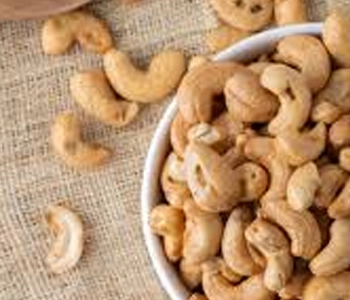 Cashew nuts dried using solar dryer in Odisha to improve quality, reduce moisture and extend storage