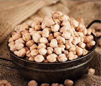 Chickpea