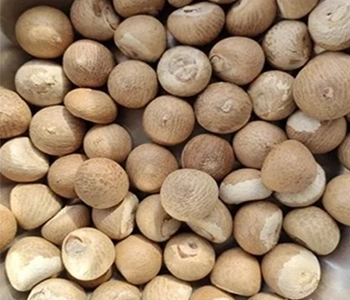Solar drying preserves product quality while maintaining nutritional and sensory properties