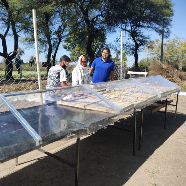 Solar dried food items in Mumbai processed using RSFP solar dryers for preservation and value addition