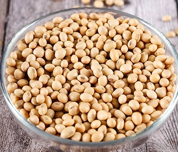 High-quality fish dried hygienically for ingredient suppliers and food manufacturers