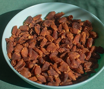 Naturally dried mahua flowers suitable for value-added food and forest produce products.