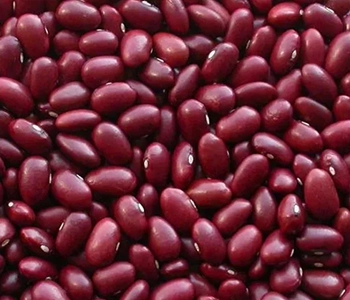 High-quality fish dried hygienically for ingredient suppliers and food manufacturers