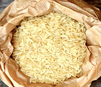 Solar dried anchovies preserved with RSFP solar dryers for better quality, hygiene, and longer storage life.