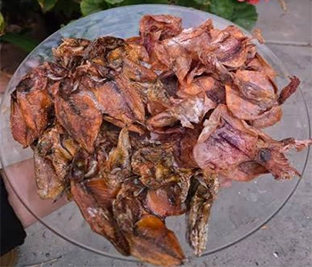 Solar dried squid processed using RSFP solar dryers to retain quality, hygiene, and extended shelf life.