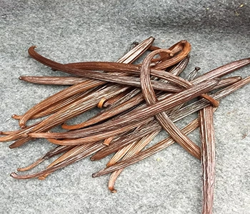 Hygienically processed vanilla ideal for food industries, retail, and ingredient supply
