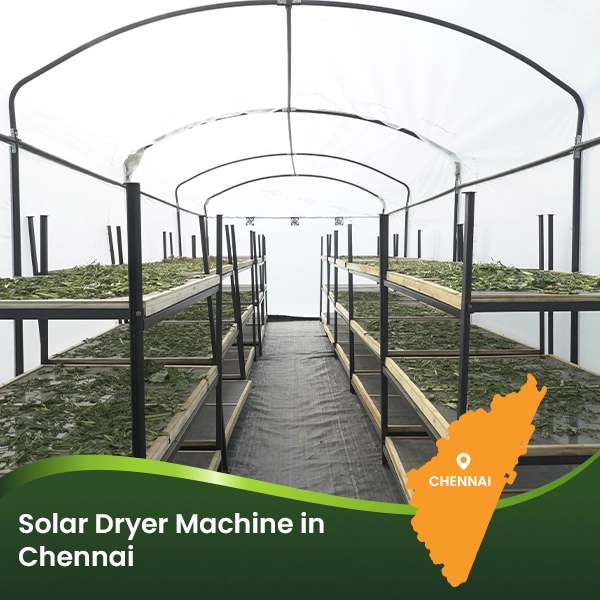 Solar dryer machine for food processing, agricultural produce drying and small business use in Chennai