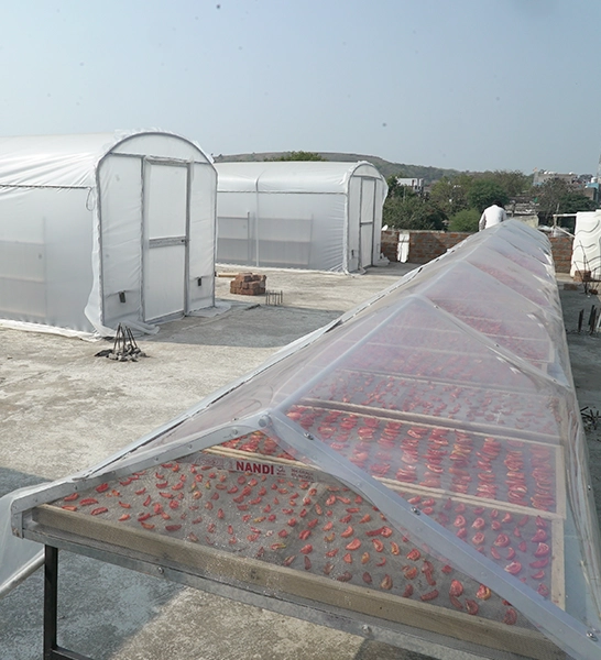 Supporting farmers with solar drying technology for value addition, income generation, and food preservation.
