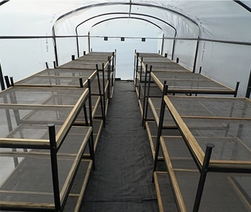 Agraj Solar Dehydrator For Sustainable Crop Drying Agraj Solar Dehydrated Process uses solar energy to dehydrate food, preserving nutrients & flavor