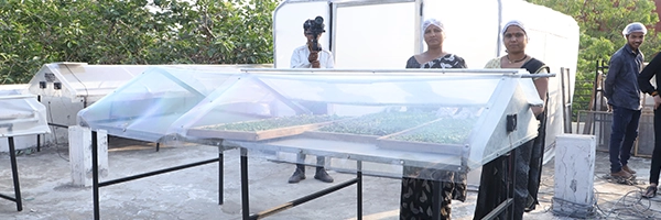 Financial assistance options beyond subsidies including loans grants and support for solar dryers