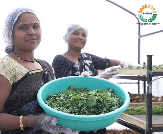 Government PMFME scheme offering financial support and training for micro food processing units