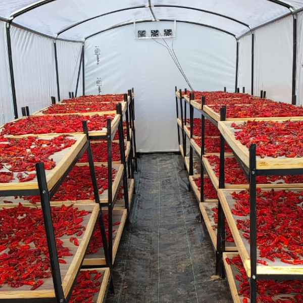 Solar dried food products prepared using sustainable drying technology for businesses and farmers in Chennai