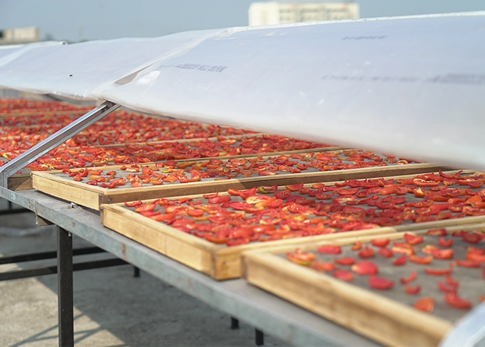 Solar drying system supporting rural businesses, farmers, and small food processing units