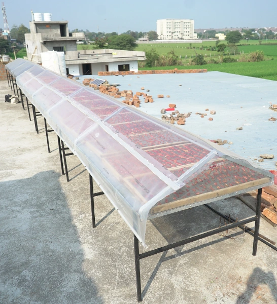 Efficient solar dryer designed for hygienic tomato drying and value-added food production