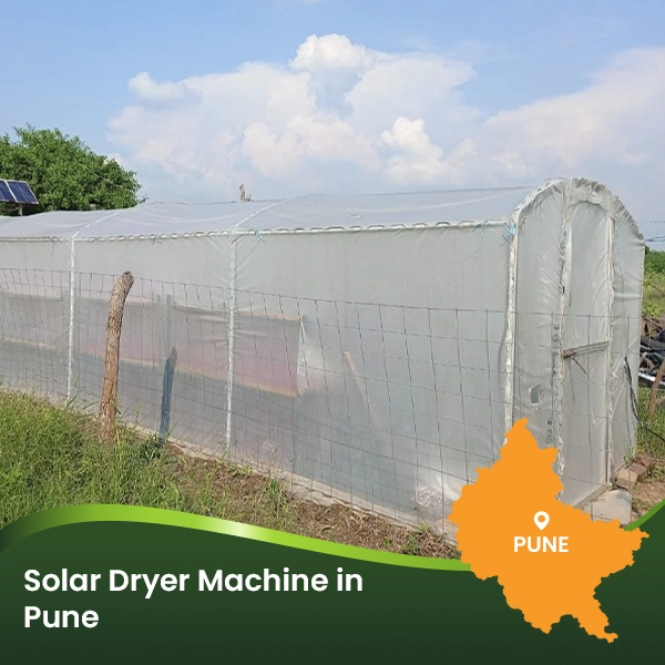 Energy-efficient solar dryer designed for hygienic food preservation and value addition