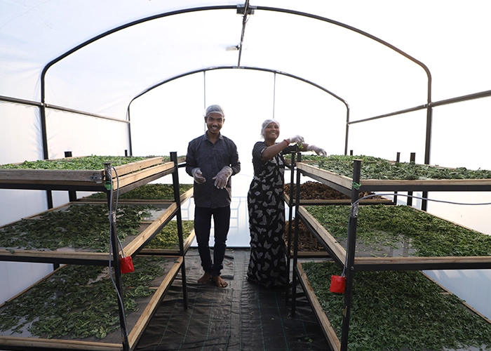 Solar dryer machine used by farmers in Gujarat for efficient crop drying and preservation