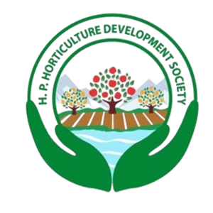Odisha horticulture department supporting farmers with solar drying and crop processing 