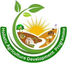 Government-supported HADP scheme promotes food processing and solar drying initiatives