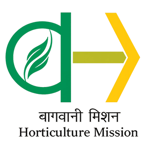 Horticulture mission promotes value addition and sustainable food processing activities.