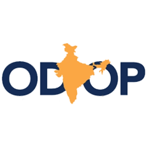 Solar drying solutions supporting ODOP food processing and value-added agricultural products
